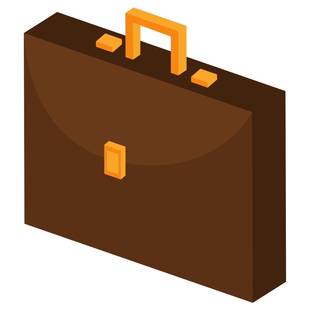 Professional Version